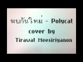 พบกันใหม่ cover