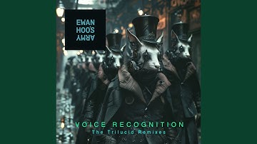 Voice Recognition (feat. Leo Wood) (The Trilucid Sunset Mix)