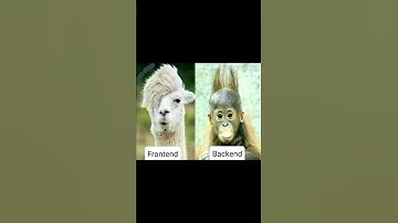 #dev #meme #memes #memes😂 #memedev #developer #developpeur #developpeurweb #development