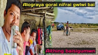 Alograya Gorainifrai Gulwi Nanai Jokhum Jabai