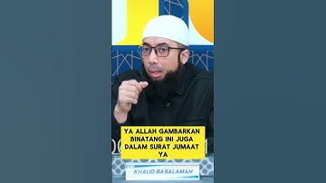 CEGAH KELEDAI & ANJING HITAM JANGAN MELINTAS SAAT KITA SHOLAT. MENGAPA? #khalidbasalamah