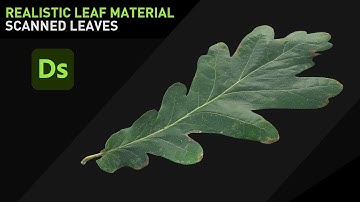 Photo - Realistic Leaf Material (Photogrammetry) in Substance 3D Designer -  Tutorial