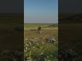 From the lens of a satellite to the prairie #shorts #canada