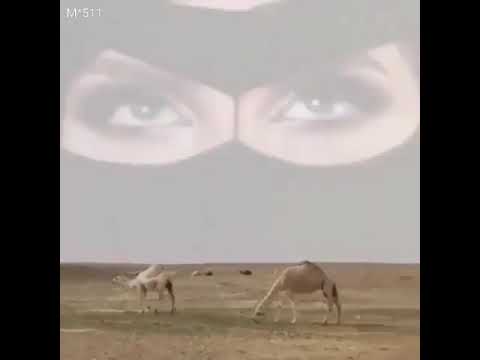 شيلة نجد العذيه مرب الزين 