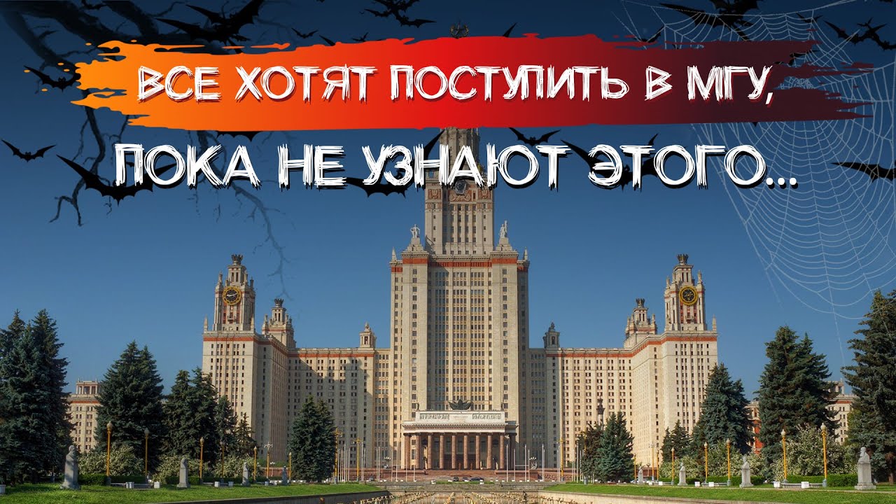 кусты мгу