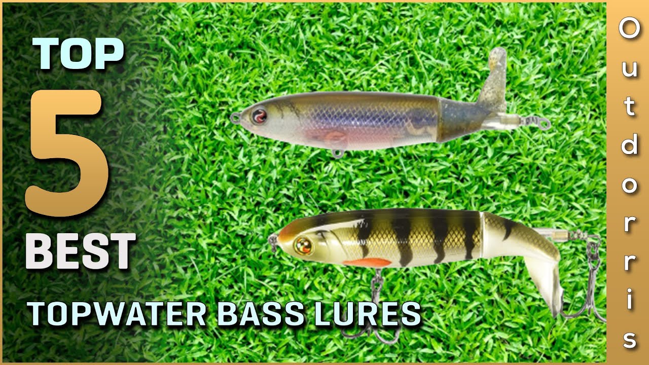 Top 5 Best Topwater Bass Lures Review in 2023 YouTube