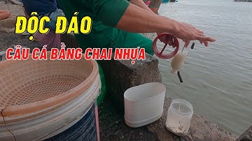 Thú vị  Câu cá đối chỉ dùng chai nhựa và  bột mì trên cảng cá Phú Hài - ❤️ phan thiết phố 🏖