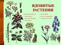 Ядовитые дикорастущие растения Псковской области