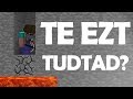 A MINECRAFT ÍRATLAN SZABÁLYAI!