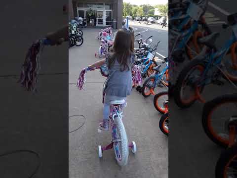 dynacraft sweetheart bike