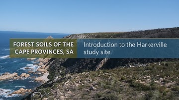 Introduction to the Harkerville study site