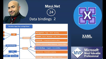 NET Maui Xaml #24 : Data bindings 2