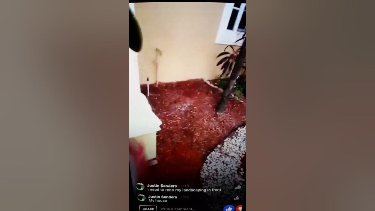 Vigoro premium red mulch at home depot. How to spread mulch and