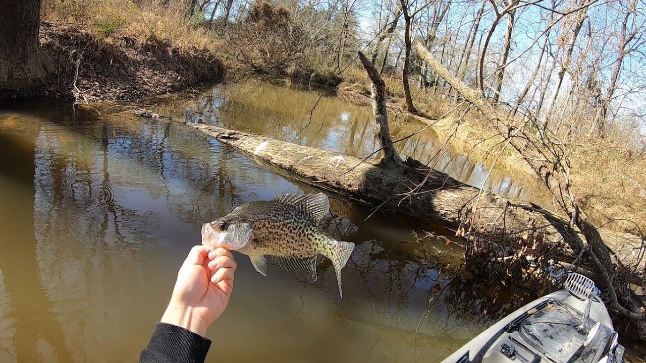 This Crazy Small Creek off the side of the road is loaded with crappie! Winter Crappie 2022
