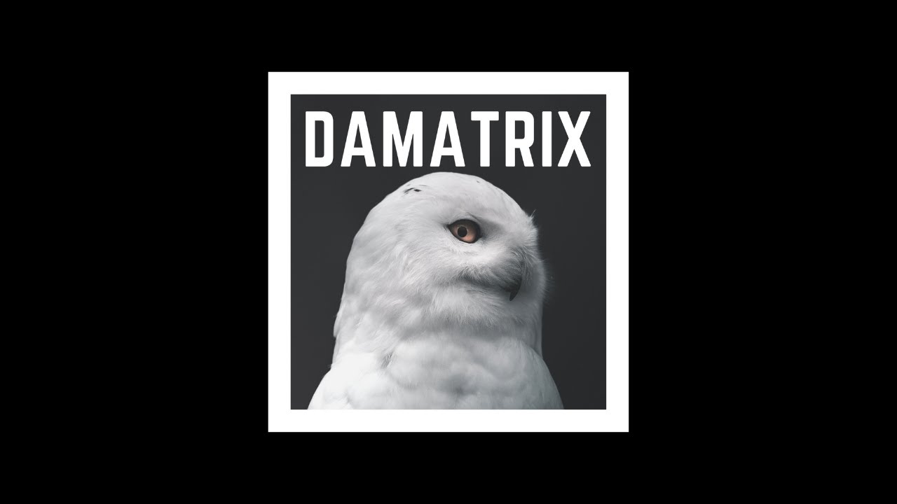 DAMATRIX - DA OWL