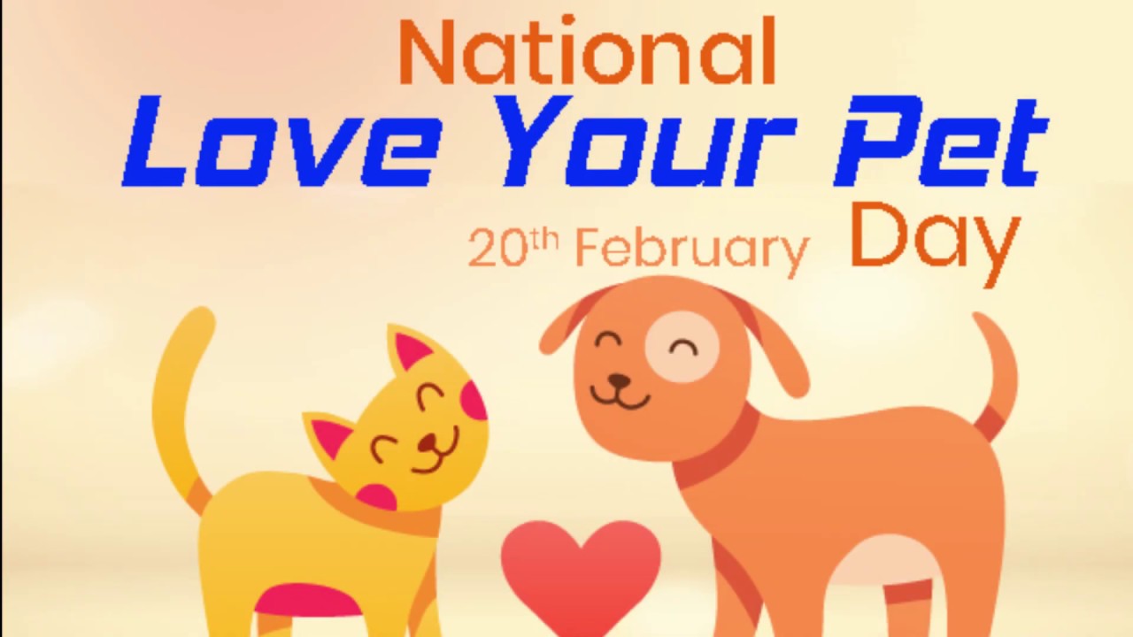 National Love Your Pet Day 20 FEBRUARY National Day Today Special