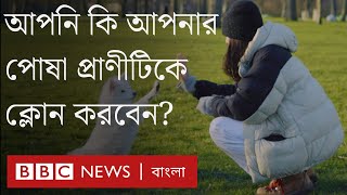 আপনি কি আপনার পোষা প্রাণীটিকে ক্লোন করবেন? BBC Bangla