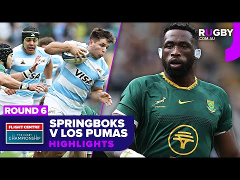 South Africa v Argentina Highlights | Round 6 | The Rugby Championship 2025