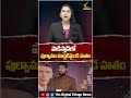 పాకిస్తాన్లో మరో మోస్ట్ వాంటెడ్ ఉగ్రవాది హతం | Pulwama Mastermind Hamza Burhan Shot Dead