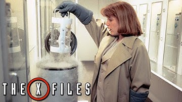 The Erlenmeyer Flask - The X-Files (1993) - Season 1 Episode 24 Unknown Facts & Deep Breakdown