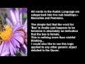 Quran miracle debunked 5 of 50  the female honey bee