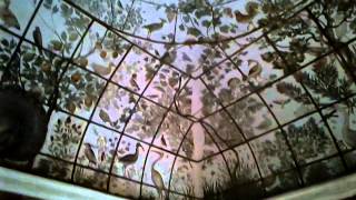 VID 20141223 00003