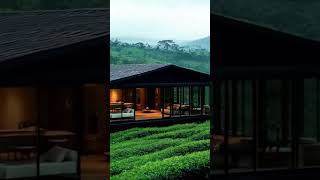 Cozy Tiny House In Nature Peaceful Living Escape