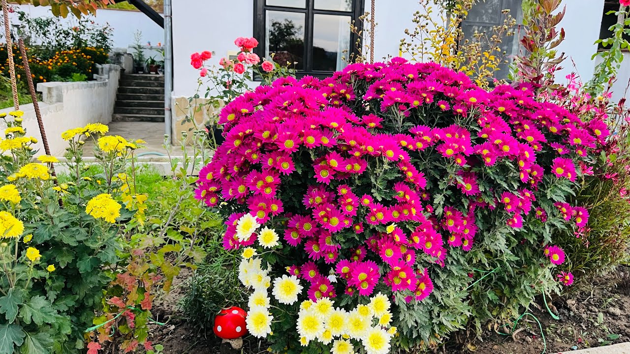 НАЙ УСПЕШНАТА МИ ГОДИНА-РАВНОСМЕТКИ - 09.11.2025