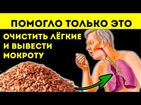 Лечение семенами льна: очищение легких, кишечника, сосудов и...