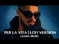 STORMY PER LA VITA LOFI VERSION 
