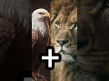 lion 🦁+ eagle 🦅=? #transformation #lion #eagle #aishorts #shortvideo #shorts #shortsfeed #music