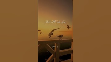 سورة الزلزلة || القارئ أحمد العجمي || تلاوة جميلة جدآ || حالات واتس اب || ستوريات |🥺❤️|