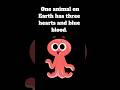 interesting animal facts for animal lovers#animalfacts # short