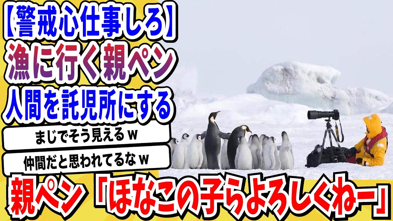 【2ch動物スレ】ペンギンとかいう警戒心がもう取り返しのつかないところまで行ってしまったダメ鳥類がヤバすぎるwwwww【なんj/にちゃん 面白いスレ】