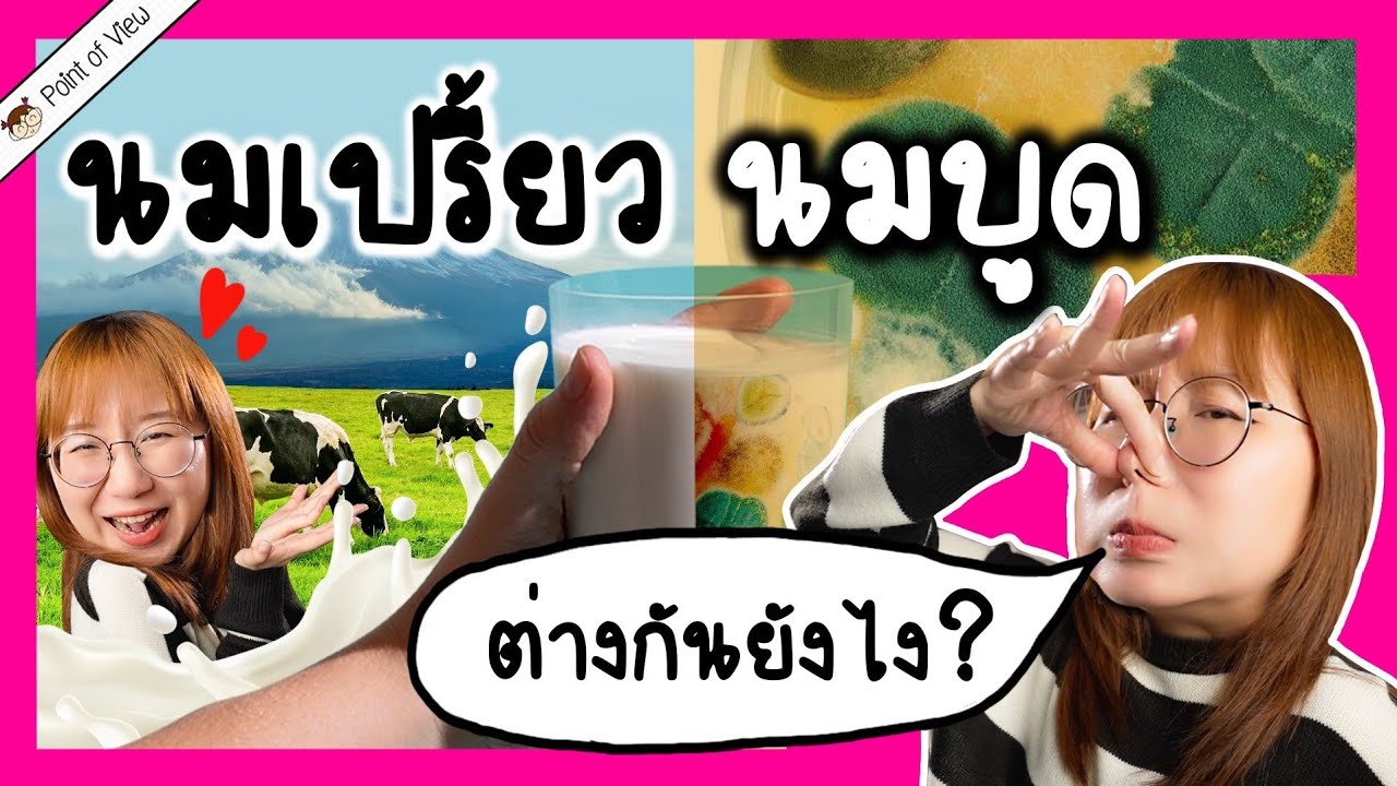 นมเปรี้ยวคือนมบูดจริงไหม? | Point of View x Dutch Mill