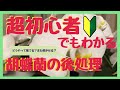 【日本一わかりやすく解説】胡蝶蘭の花が終わったら【もう一度咲かせる？！捨てる？】