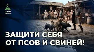 Защити себя от Псов и Свиней!