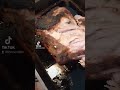 Pulled pork revcritter asmr pulledpork sexyporkpull