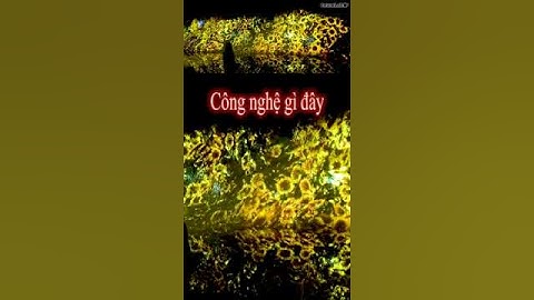 Công nghệ 3D Mapping Là Gì