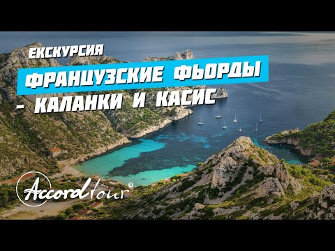 Видео: Лакома червена касис листна въшка