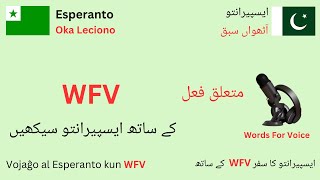 Esperanto Lesson 8 | Relative verb | Esperanto Through Urdu | ایسپیرانتو سبق 8 متعلق فعل