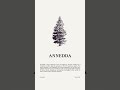 The Tree That Saved Cartier’s Crew 🌲