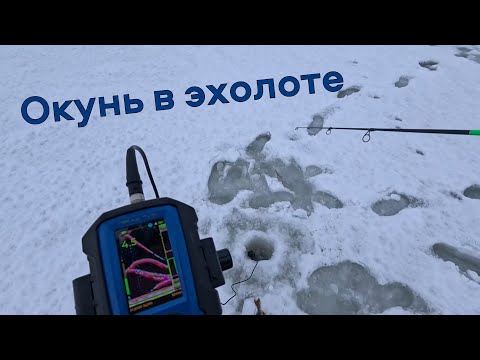 Окунь в эхолоте Практик. Пестовское водохранилище