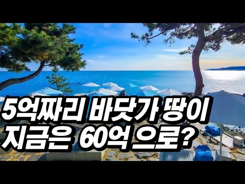   기장1등 카페 웨이브온 과거모습은