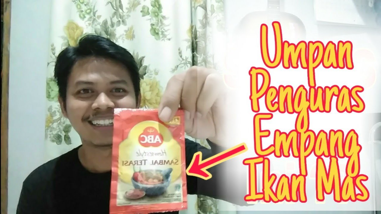 TUTORIAL UMPAN PENGURAS EMPANG IKAN MAS - Cukup Dengan 5 Bahan Saja