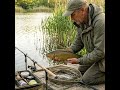Method Feeder Mastery for June Tench