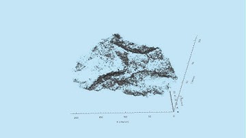 Compressed Fossilized 2.5 Billion-Year-Old Sulfur-Oxidizing Bacteria