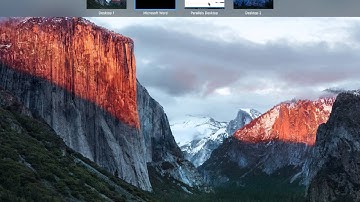 paint job estimator in visual studio