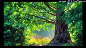 مقطع جميل من سورة طه بصوت الشيخ أحمد أسامة-Surat Taha-Quran