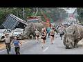 The Most Insane Wildlife Encounters Ever Recorded — You Won’t Believe These Are Real